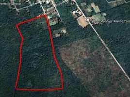  Terreno (Parcela) en venta en Yucatán, Yobain, Yucatán