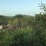  Terreno (Parcela) en venta en Yucatán, Merida, Yucatán