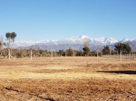  Terreno (Parcela) en venta en Lujan De Cuyo, Mendoza, Lujan De Cuyo