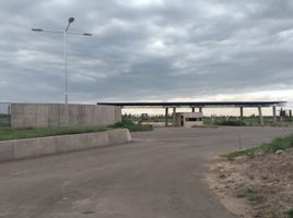  Terreno (Parcela) en venta en Lujan De Cuyo, Mendoza, Lujan De Cuyo