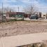  Land for sale in Guaymallen, Mendoza, Guaymallen