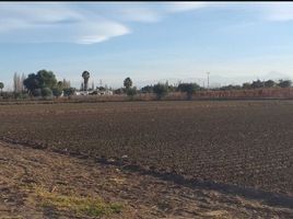  Land for sale in Maipu, Mendoza, Maipu