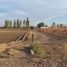  Land for sale in Maipu, Mendoza, Maipu