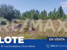  Land for sale in Rio Negro, General Roca, Rio Negro