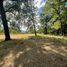  Land for sale in Chile, Lautaro, Cautin, Araucania, Chile