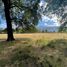  Land for sale in Chile, Lautaro, Cautin, Araucania, Chile