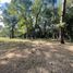  Land for sale in Chile, Lautaro, Cautin, Araucania, Chile