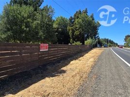 Land for sale in Biobío, Santa Barbara, Biobío, Biobío