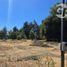  Land for sale in Biobío, Santa Barbara, Biobío, Biobío