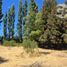  Land for sale in Biobío, Santa Barbara, Biobío, Biobío