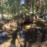  Land for sale in Biobío, Santa Barbara, Biobío, Biobío
