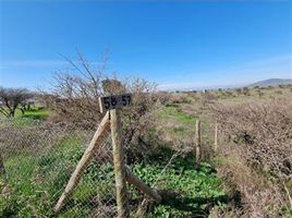  Terreno (Parcela) en venta en Chile, La Estrella, Cardenal Caro, Libertador General Bernardo O'Higgins, Chile