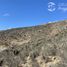  Land for sale in Chile, La Serena, Elqui, Coquimbo, Chile