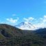  Terreno (Parcela) en venta en Araucanía, Curacautin, Malleco, Araucanía