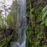  Terreno (Parcela) en venta en Araucanía, Curacautin, Malleco, Araucanía