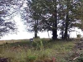  Terreno (Parcela) en venta en Araucanía, Curacautin, Malleco, Araucanía