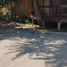  Land for sale in Chile, Lampa, Chacabuco, Santiago, Chile