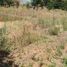  Land for sale in Chile, Lampa, Chacabuco, Santiago, Chile