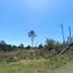  Land for sale in Santa Maria, Cordoba, Santa Maria