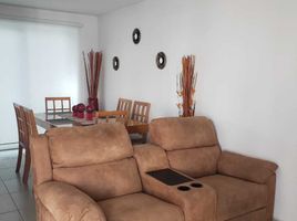 3 Habitación Casa en alquiler en Queretaro, Querétaro, Queretaro