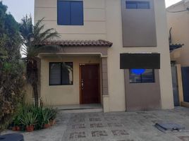 4 chambre Maison for sale in Guayas, Daule, Daule, Guayas