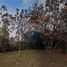  Land for sale in Chile, Santiago, Santiago, Santiago, Chile