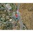  Land for sale in Chile, Santiago, Santiago, Santiago, Chile