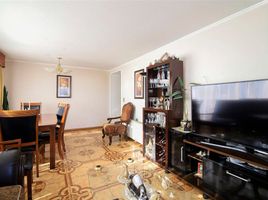 3 Schlafzimmer Appartement zu verkaufen in Cordillera, Santiago, San Jode De Maipo, Cordillera