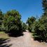 Studio House for sale in Santiago, San Jode De Maipo, Cordillera, Santiago