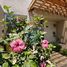 3 Bedroom House for rent in Chacabuco, Santiago, Colina, Chacabuco