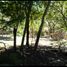  Terreno (Parcela) en venta en Izamal, Yucatán, Izamal