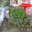  Terreno (Parcela) en venta en Morelia, Michoacán, Morelia, Michoacán
