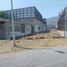  Land for rent in Monterrey, Nuevo Leon, Monterrey