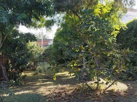  Grundstück zu verkaufen in San Pedro Garza Garcia, Nuevo Leon, San Pedro Garza Garcia