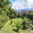3 Bedroom House for sale in Envigado, Antioquia, Envigado