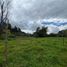  Land for sale in Rionegro, Antioquia, Rionegro