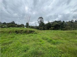  Terreno (Parcela) en venta en Rionegro, Antioquia, Rionegro