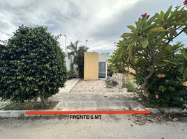2 Schlafzimmer Villa zu verkaufen in Merida, Yucatan, Merida