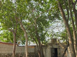  Terreno (Parcela) en venta en Merida, Yucatán, Merida