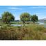  Land for sale in Las Cabras, Cachapoal, Las Cabras