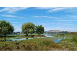  Land for sale in Las Cabras, Cachapoal, Las Cabras