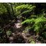  Terreno (Parcela) en venta en Los Lagos, Chonchi, Chiloé, Los Lagos