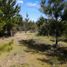  Terreno (Parcela) en venta en Chile, Paredones, Cardenal Caro, Libertador General Bernardo O'Higgins, Chile