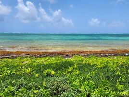  Terreno (Parcela) en venta en Othon P Blanco, Quintana Roo, Othon P Blanco