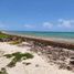  Terreno (Parcela) en venta en Othon P Blanco, Quintana Roo, Othon P Blanco