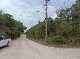  Grundstück zu verkaufen in Cancun, Quintana Roo, Cancun