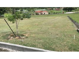  Terreno (Parcela) en venta en Panamá Oeste, Bejuco, Chame, Panamá Oeste