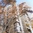 3 Bedroom Apartment for sale in Plaza Independencia, Mendoza, Capital, Capital