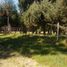 Studio House for sale in Neuquen, Confluencia, Neuquen