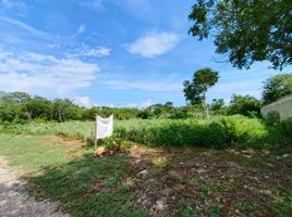 Grundstück zu verkaufen in Conkal, Yucatan, Conkal